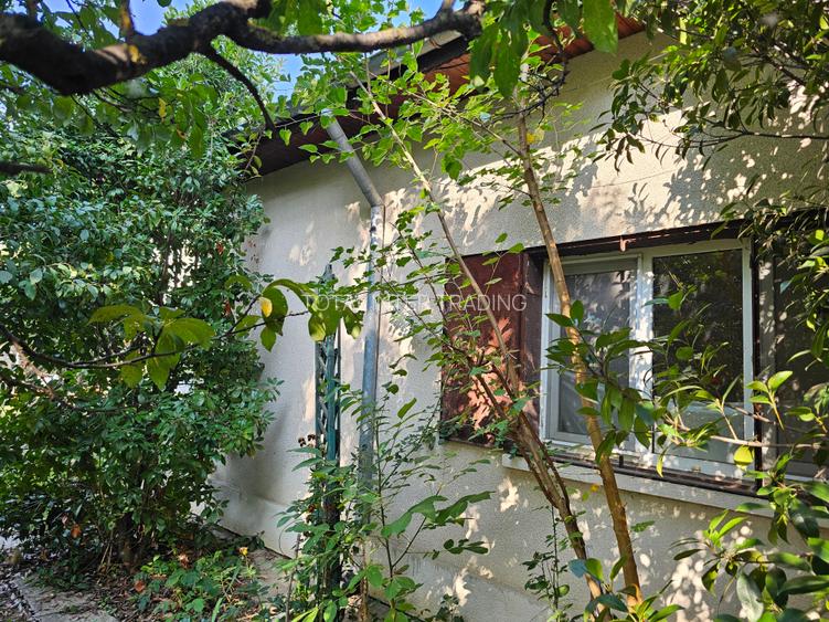 Bolintin Vale-casa 3 camere, toate utilitatile,teren 1000 mp, garaj, libera,acte - 11