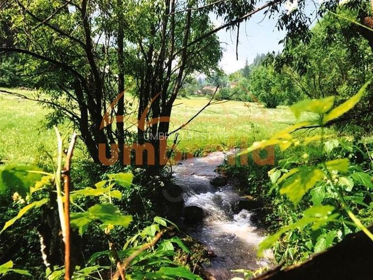 TEREN DE VANZARE 34.201m²/20€ m² IN VARSAG HARGHITA - 5