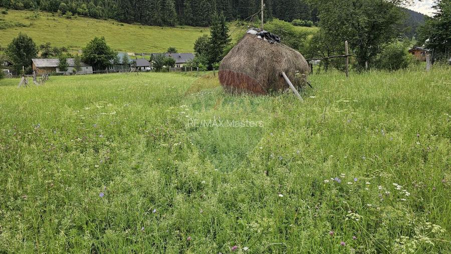 Casa 225 mp, teren intravilan 4822 mp C. Moldovenesc, Suceava - 13