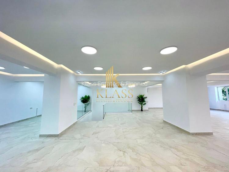 Spatiu comercial 250 mp, parter + et. 1, prima inchiriere, terasa,zona Colentina - 3