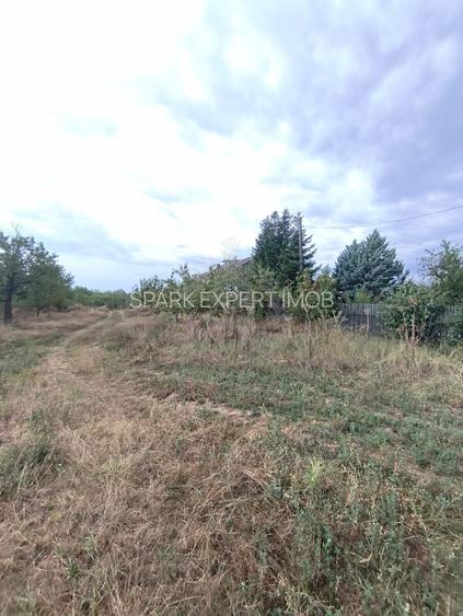TEREN PAULESTI//17211 MP// INTRAVILAN - 5