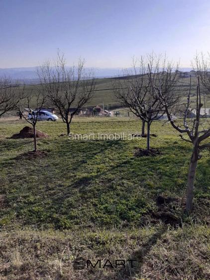 Teren intravilan Sura Mare 550mp - 3