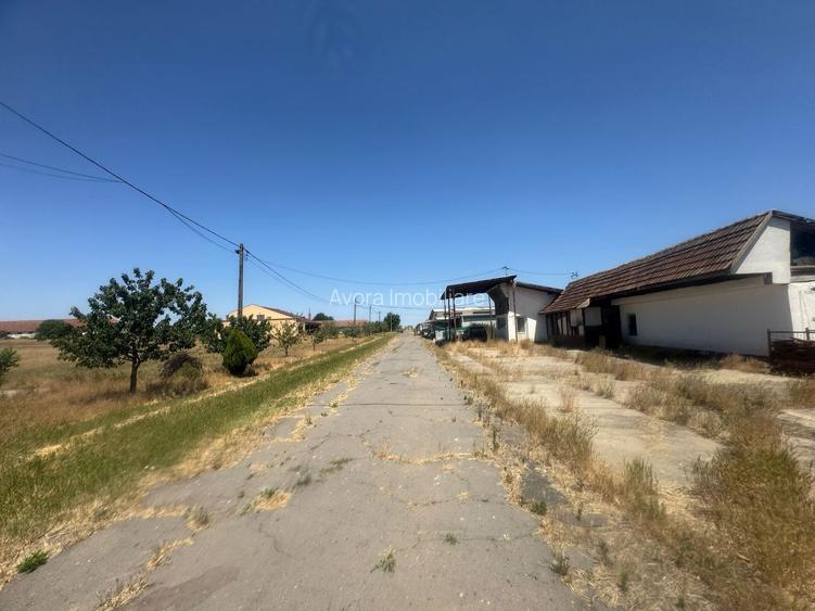 Teren Intravilan, Barateaz-Satchinez - 10