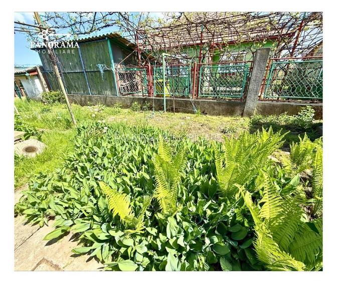 Casă cochetă de inchiriat - Cartierul Moșnei - 11