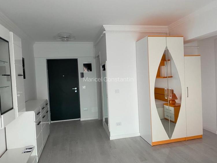 Închiriere apartament cu o cameră Bucium Vișani  - 6