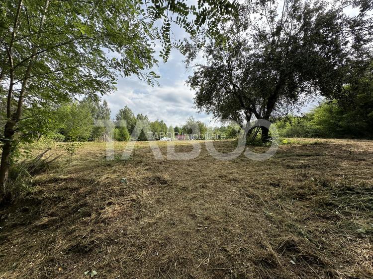 Teren intravilan 8000 mp cu anexa gospodareasca in Vistisoara - 4