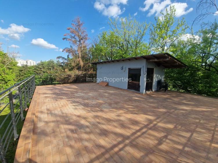 Oportunitate de investiție restaurant în Parcului Tineretului - 8
