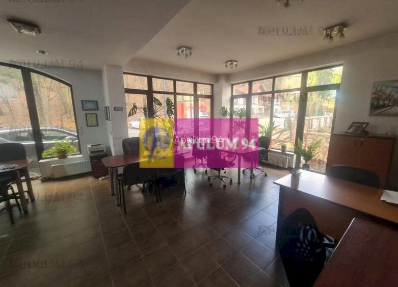 Spatiu de birou de închiriat în Sinaia - 3