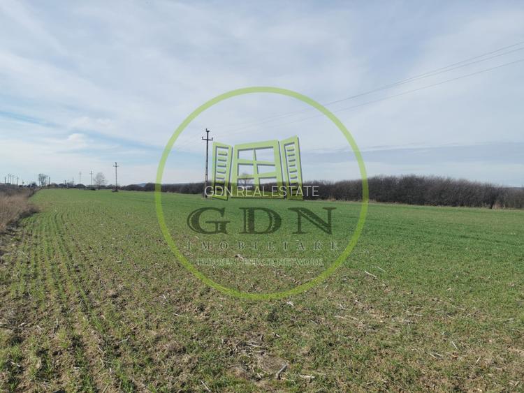 Teren extravilan de vanzare in Sacadat, 21.496 mp, cu deschidere de 42 m la E60. - 5