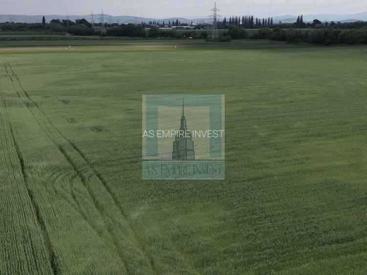 Teren intravilan 50000 mp, cu PUZ, Aprobat - zona Halchiu/Codlea - 8
