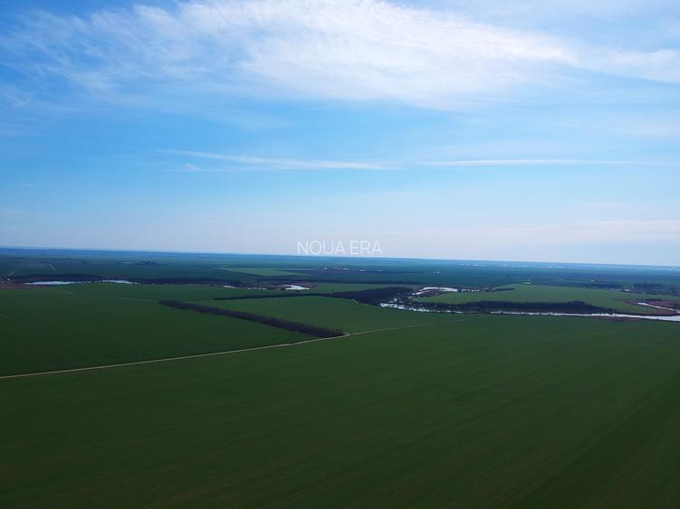 Intravilan în satul Popești. Zona Frumusani. Curent. Padure. Aer curat, liniste. - 2