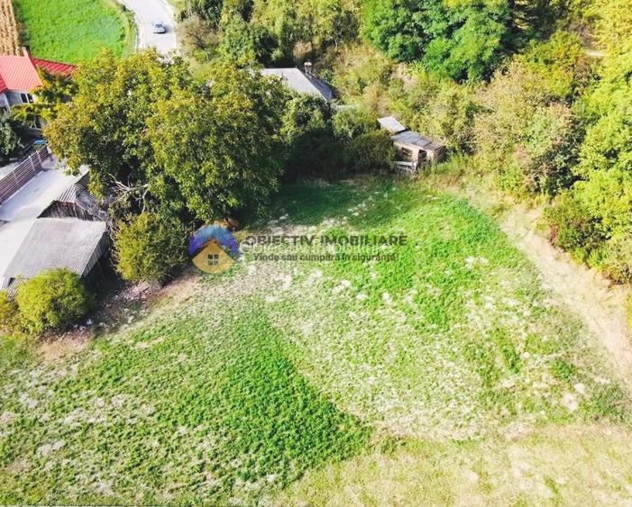 CASA + teren intravilan,  comuna BODESTI - 4