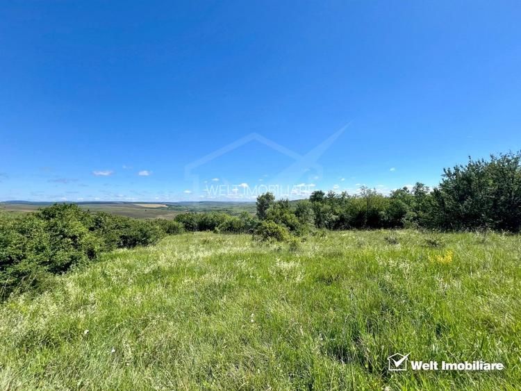 Oportunitate investitie, Chinteni, zona Macicas 31.600 MP - 3