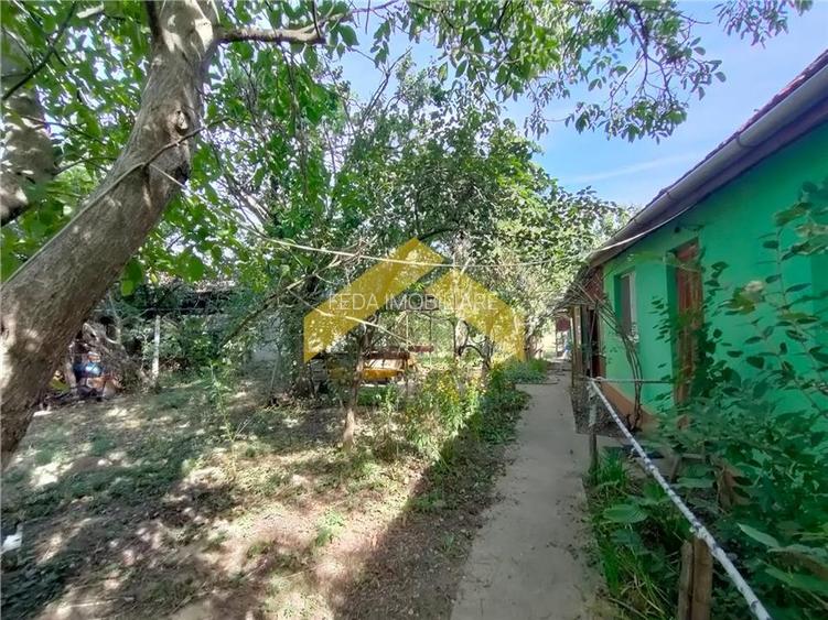 Casa de vanzare in Bodrogu Vechi - 7