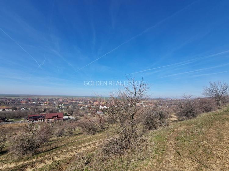 Teren extravilan,  zona si priveliste superba, Cuvin - 5