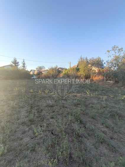 TEREN INTRAVILAN  PLOPU//3000 MP - 4