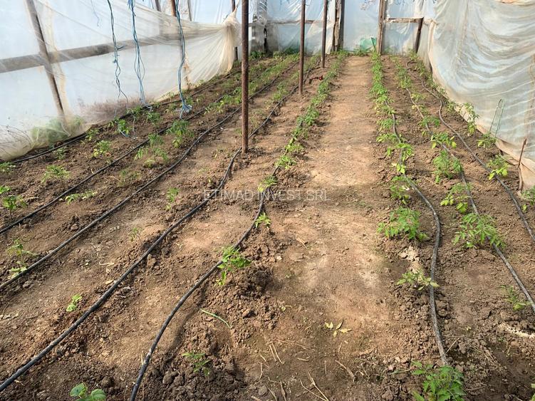 FERMĂ - PIETRENI - DN3 - UTILITĂȚI - 10.680 MP - 15