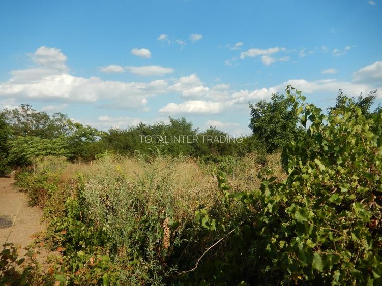 Calugareni-Branistari-casa 4 camere, teren 1965 mp, curent, put, libera,69900 € - 28