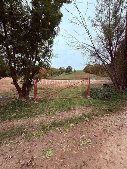 Teren intravilan 17,265 mp in Tomnatic comuna Vadu Crisului - 5