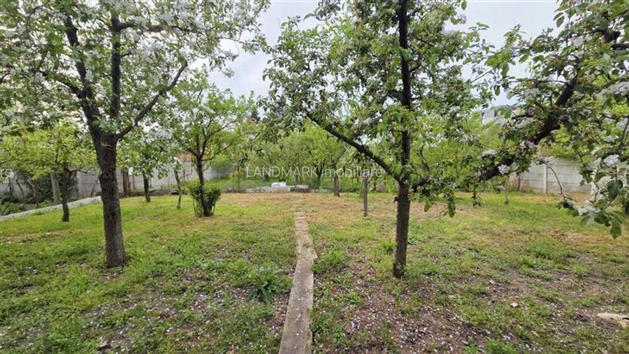 COMISION 0% CASA VECHE CU TEREN GENEROS DUMBRAVITA VATRA VECHE - 14