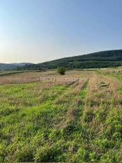 ReCO Teren extravilan in Dragesti spre Stracos 7200mp - 3