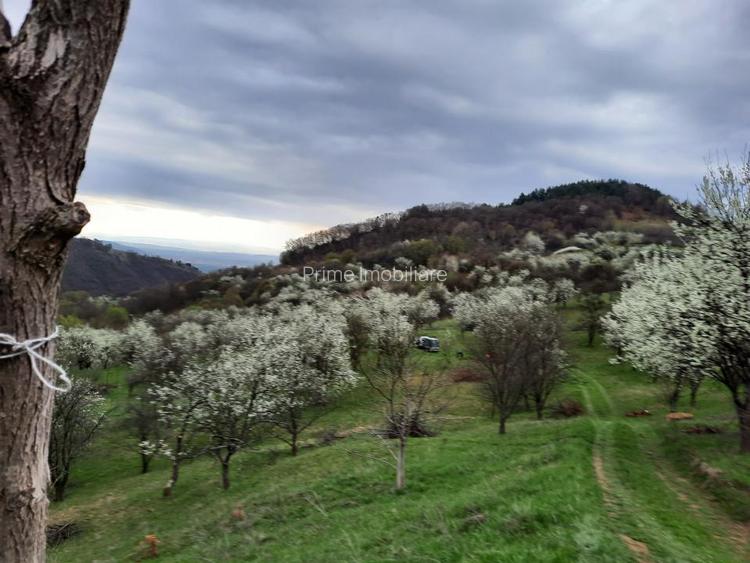 TEREN INTRAVILAN 13700 MP, INURI, VINTU DE JOS - 5