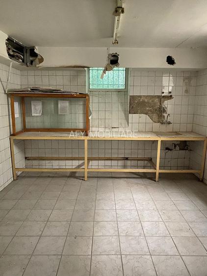 De Vanzare Vila Interbelica, 8-10 Camere, Romana - Zodiac - 26