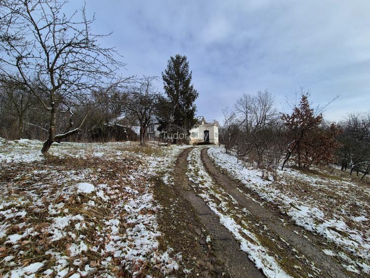 Moșia boierească din vârf de deal, Scorțeni - Prahova, comision 0% - 8