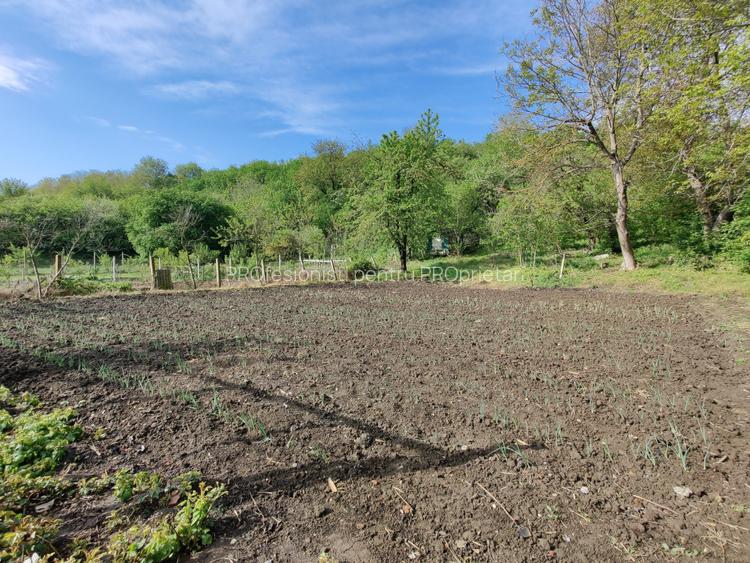 COMISION 0% Imobil pretabil camin de batrani+3.125mp teren in Slimnic - 11