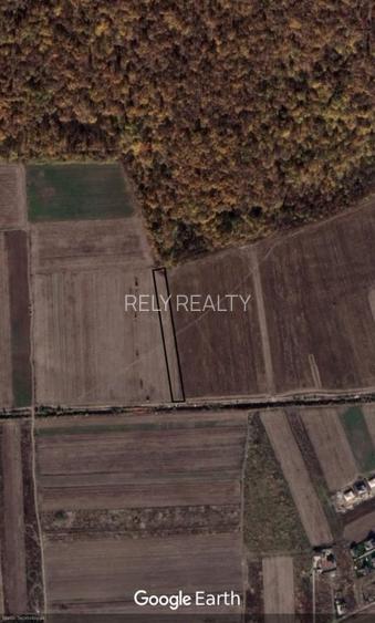 Vanzare teren Sabareni, 5.000 mp, langa Padurea de Tei - 2