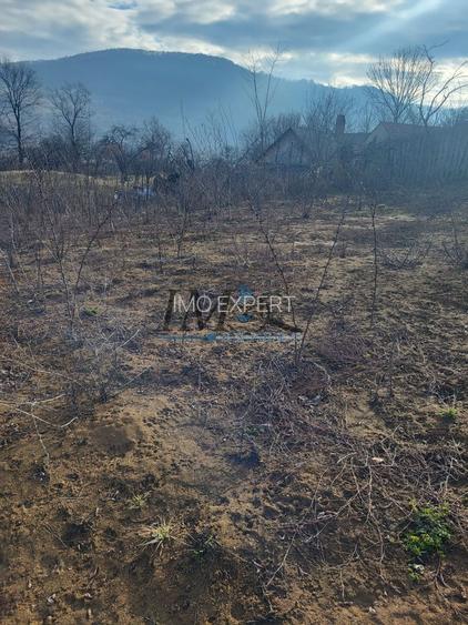 TEREN INTRAVILAN IN PIANU DE SUS - 2