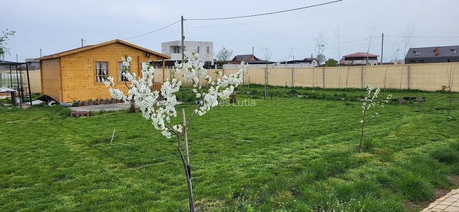 Teren langa Academia Titi Aur - 10