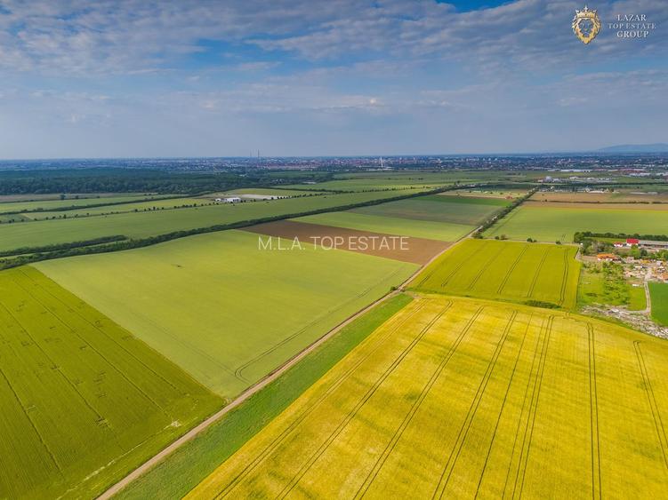 Teren Extravilan Arad de vanzare - 5