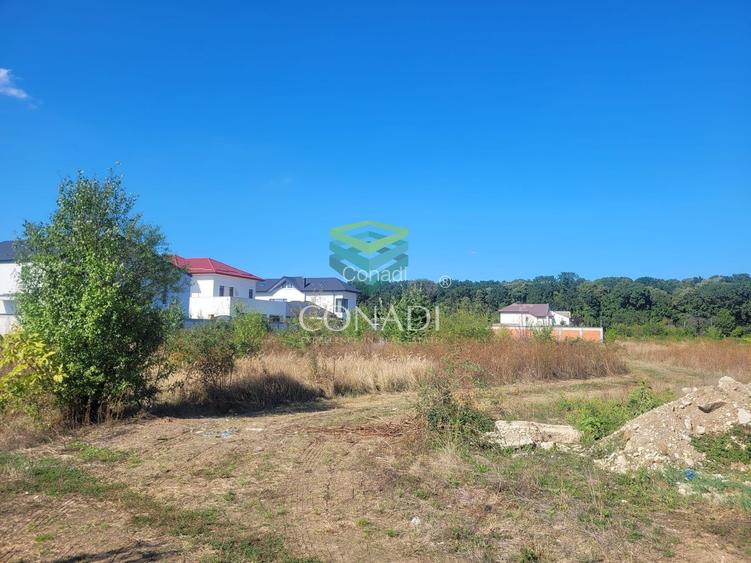 Teren de vanzare - Voluntari - zona Matei Millo - 5