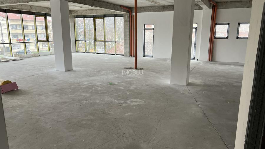 Clădire premium D+P+1E, 1000mp, 15 loc. Parcare, Torontalului-Bulevard - 9