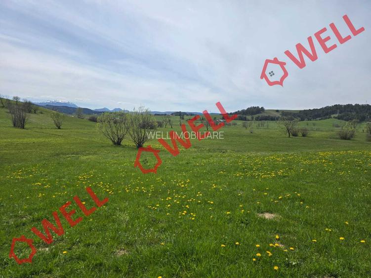 De vânzare teren extravilan în Sărămaș! - 5