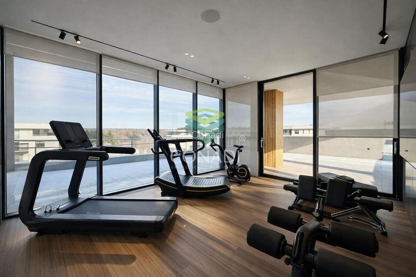 The american dream | zona Ambasadei Americii - 16