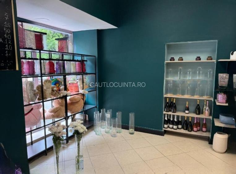 Spatiu Comercial | Calea Mosilor | Stradal | OBOR | 42MP | Modern - 3