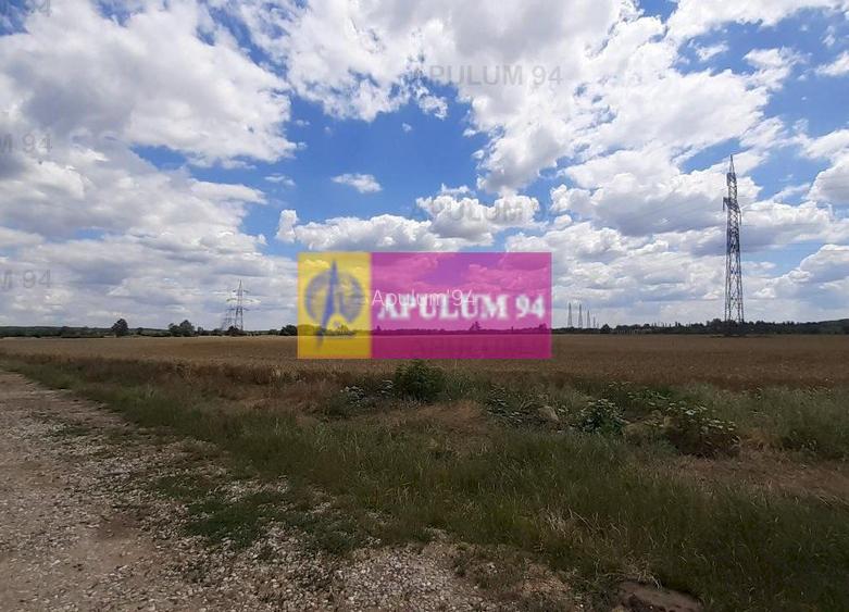 Teren 715mp în Snagov lângă Equestria - 23