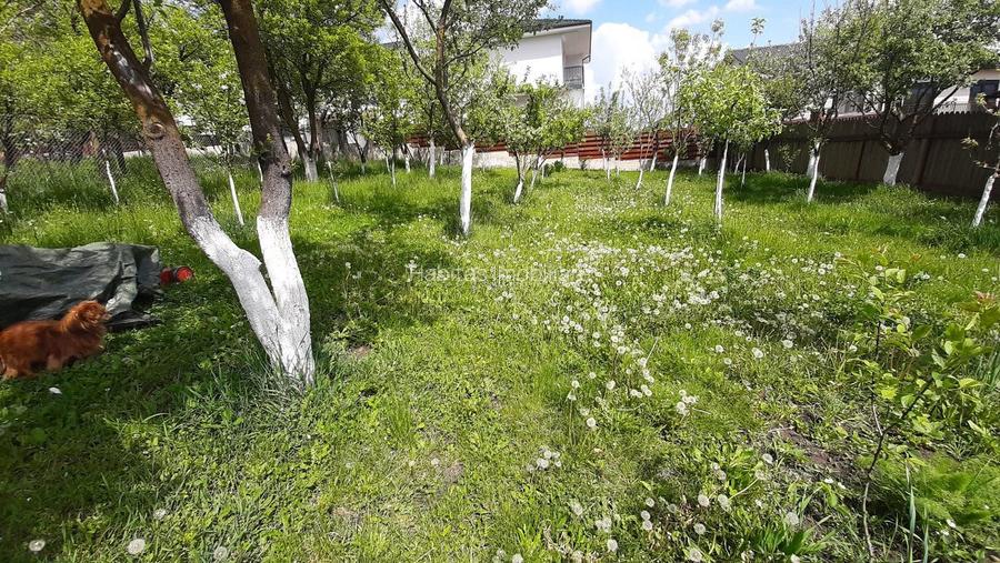 Casa moderna, foarte spatioasa, cu  1500 mp teren, în  Dambul Rotund - 28