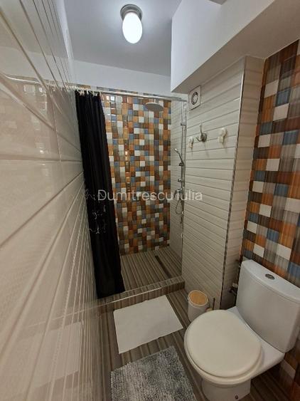 Apartament 2 camere decomandat str. Niagara, Chitila, Sector 1 - 10