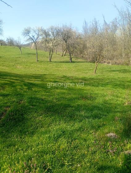 Vând terenuri,intravilane și extravilane !!! - 10