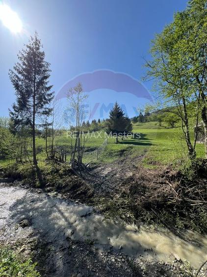 Teren 12,127mp Frasin / Drumul Forestier Valea Seacă - 10