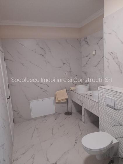 CASA  DEOSEBITA LA  SACALAZ IN SUPRAFATA DE 153 MP - 21