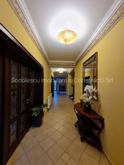 Poziție de top în Dumbravita - 27