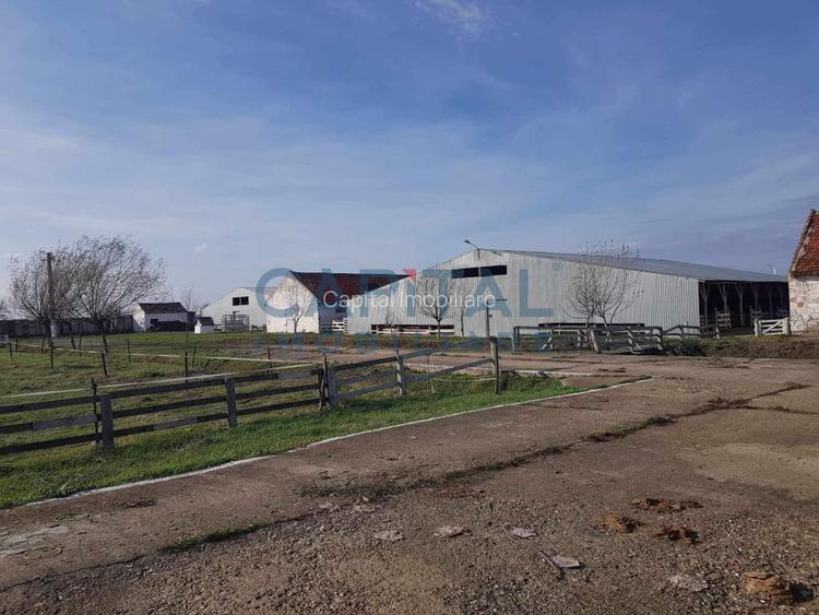 Ferma langa Oravita 5600 mp construiti si teren 24281 intravilan - 4