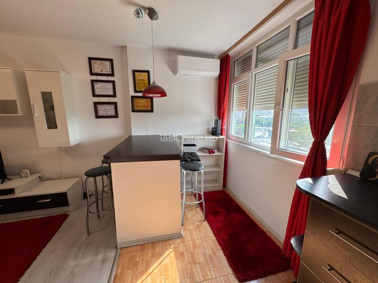Apartament cu o camera Pod Piatra/Cantemir - 7