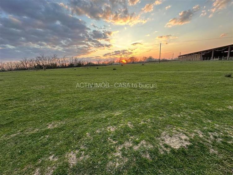 Bocsa Romana, 2 terenuri intravilan, 10.000 Mp.(59.900 Euro) si arabil, 80.000 M - 2