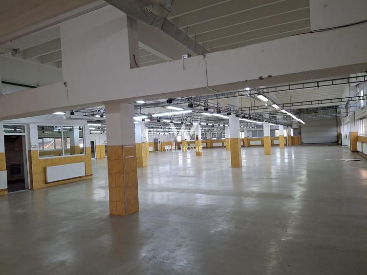 Spatii de inchiriat pentru productie/ industrial, Sibiu - 2