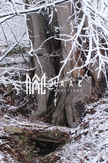 Teren cu izvor de apă minerală  Dangești, Punctul Valea Mare - 27